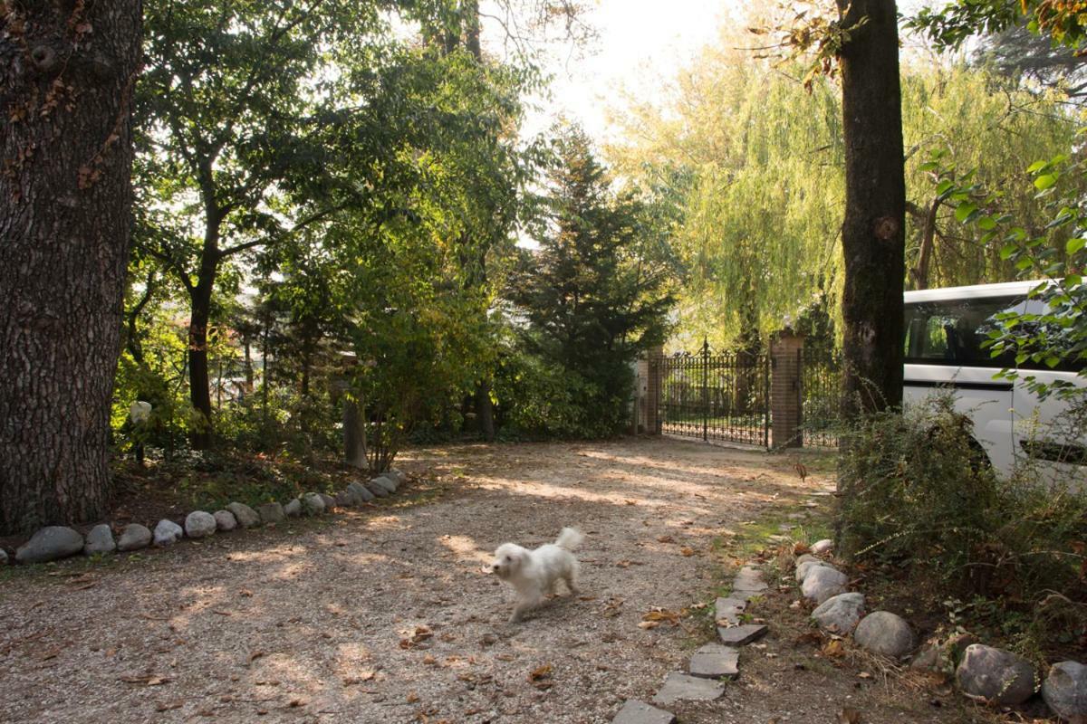 Al Parco Curtatone Exterior foto